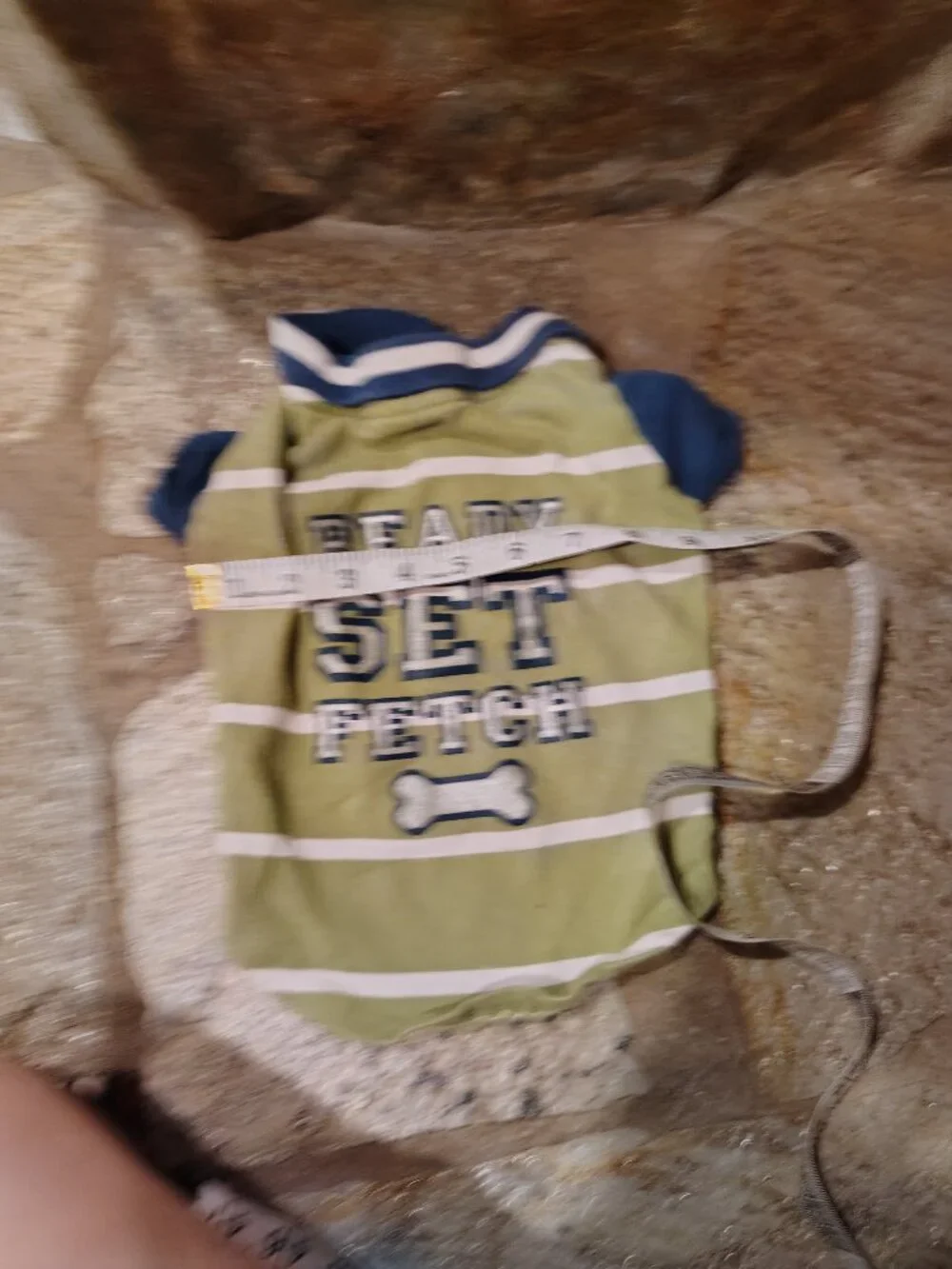 Martha Stewart Pets Dog Polo Size Medium Ready Set Fetch